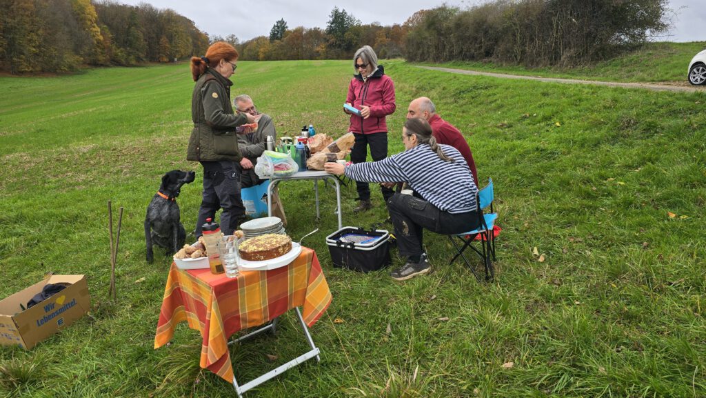 Picknick Apfelbäume pflanzen